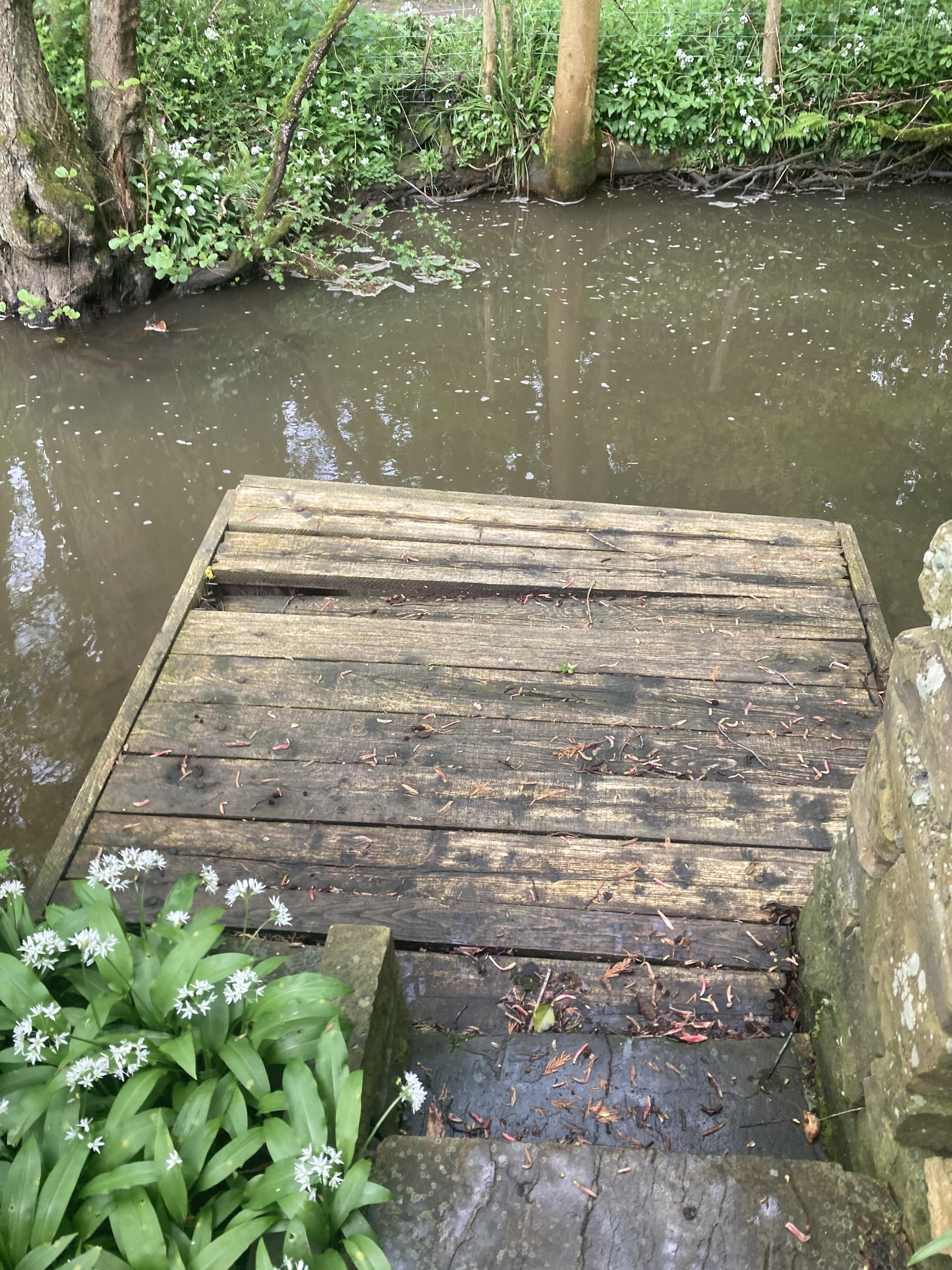 Timber jetty repair